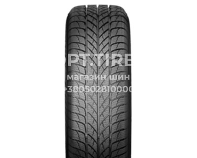 225/45R18 Paxaro INVERNO 95V Легковая шина