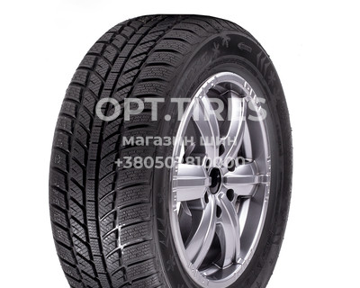 205/55R16 Roadx RXFrost WH01 91H Легкова шина
